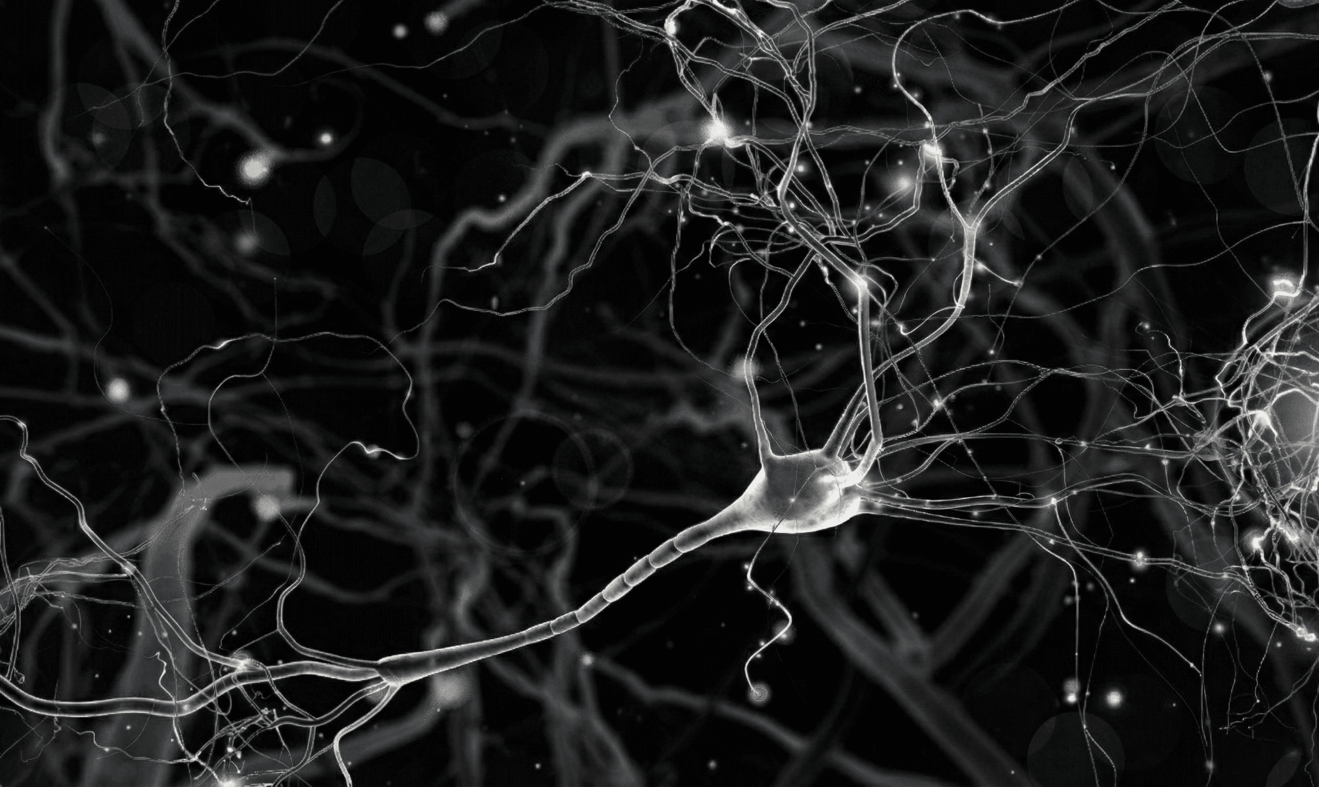 AGENT CONVERSATIONNEL SOUVERAIN