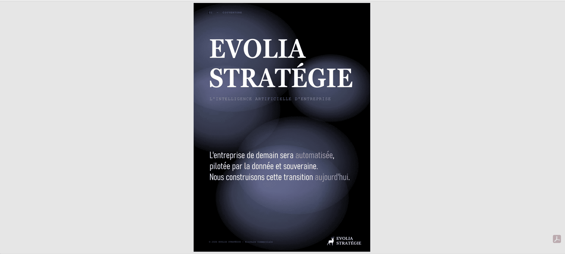 IA d'Entreprise : Souveraineté & Automatisation