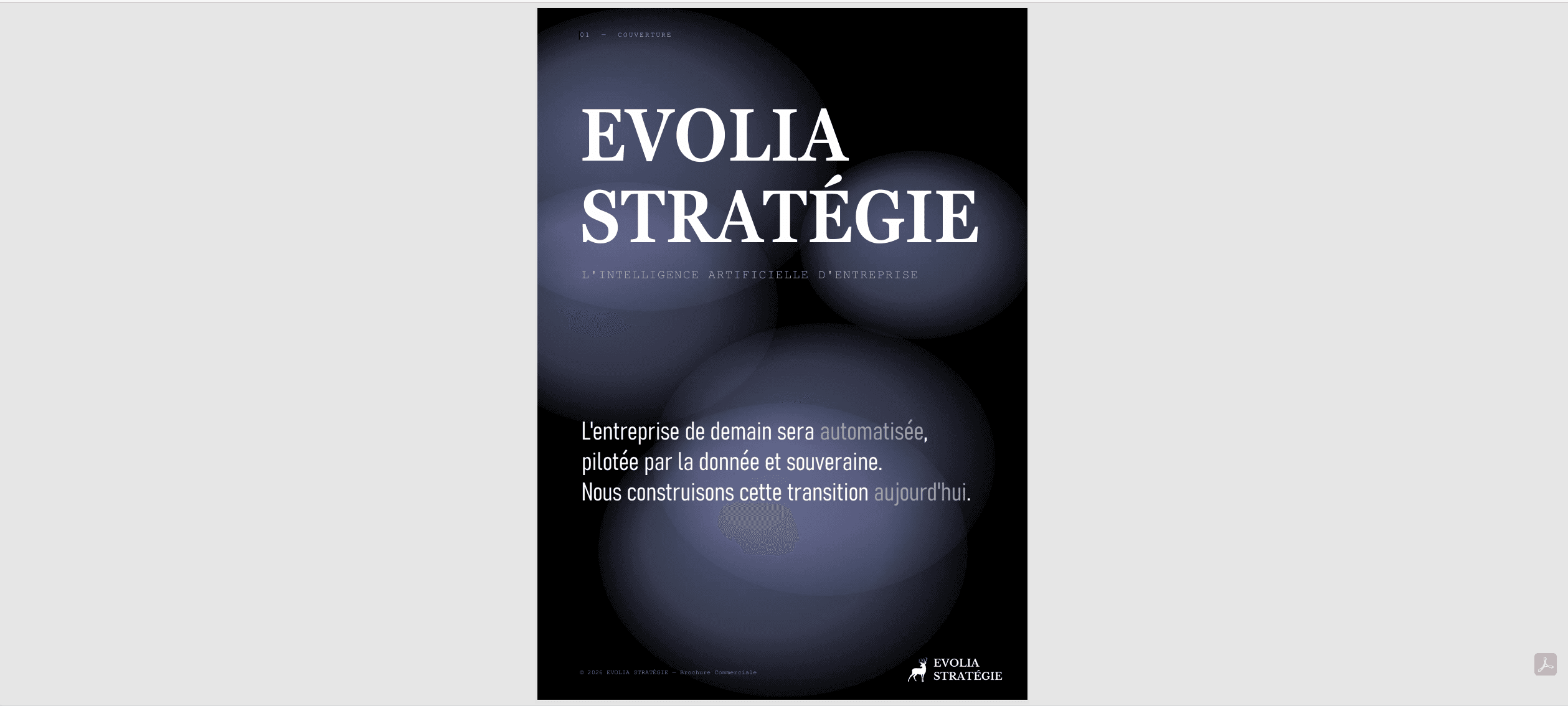 L'Intelligence Artificielle d'Entreprise : Vision, Souveraineté et Automatisation