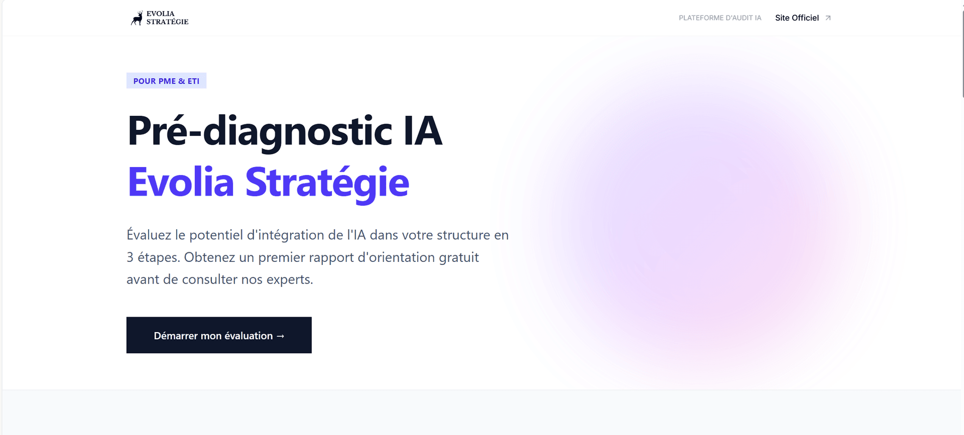 Interface du Pré-diagnostic IA Evolia Stratégie