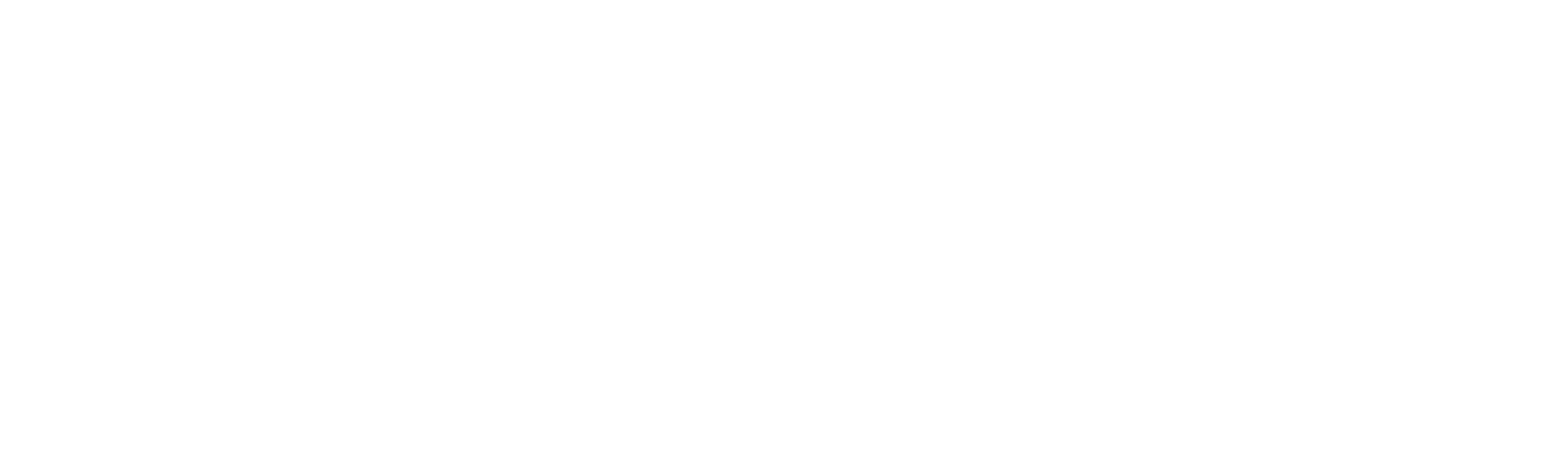 Evolia Stratégie