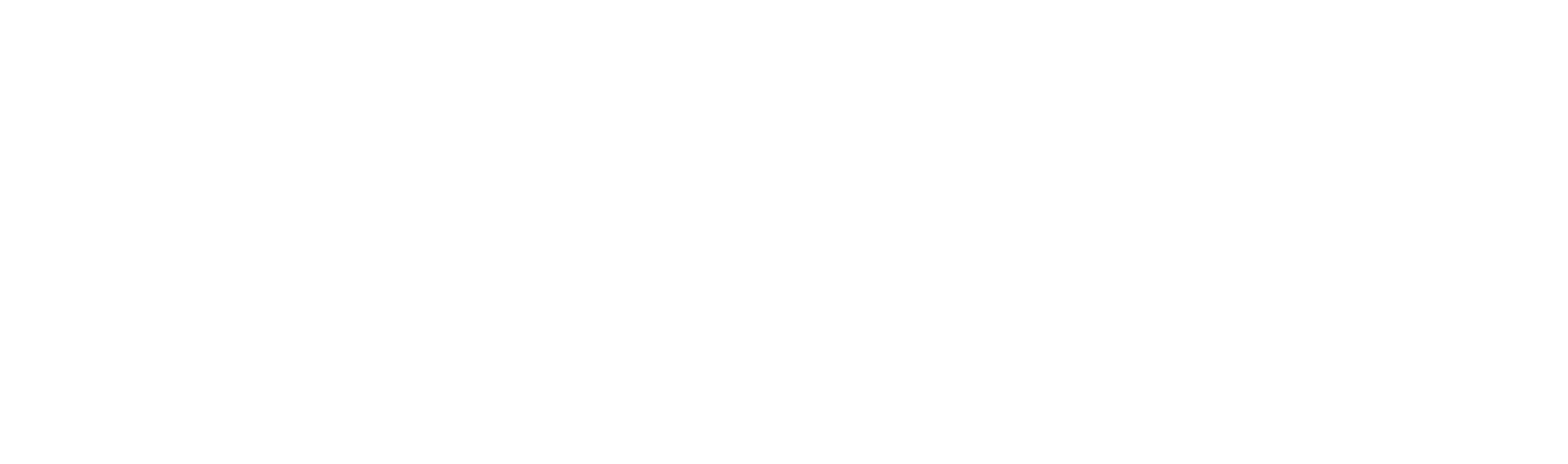 Logo EVOLIA Stratégie
